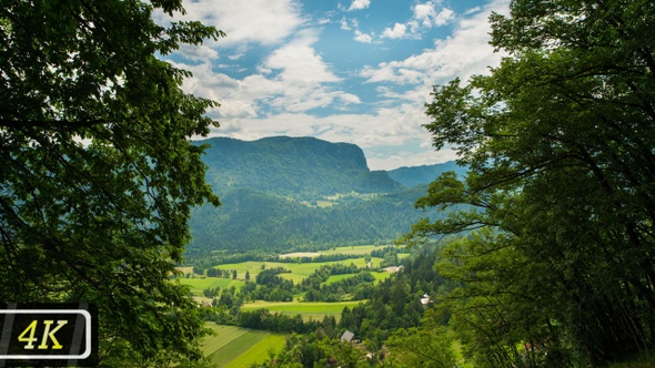 Summer Landscape in Slovenia