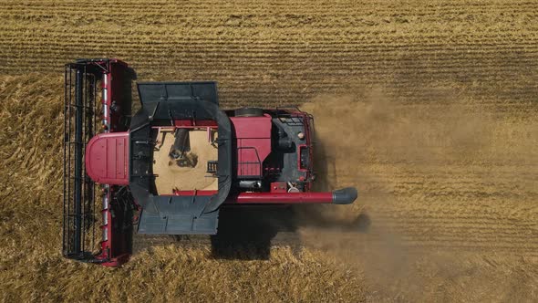 Aerial View Top View of Combine Harvester Working on a Wheat Field in Slow Motion alt
