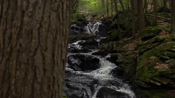 Slide From Behind A Tree Revealing A Beautiful Multi Tiered Waterfall