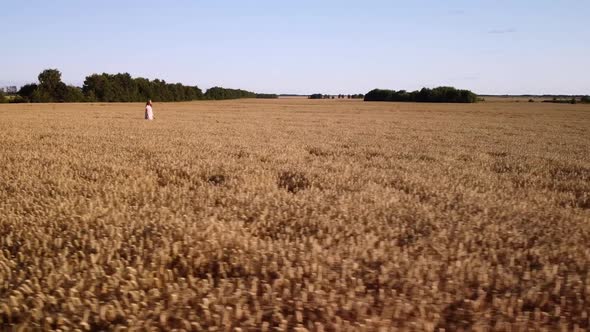 Slow smooth footage of a young blond girl walking in the field of ripe wheat