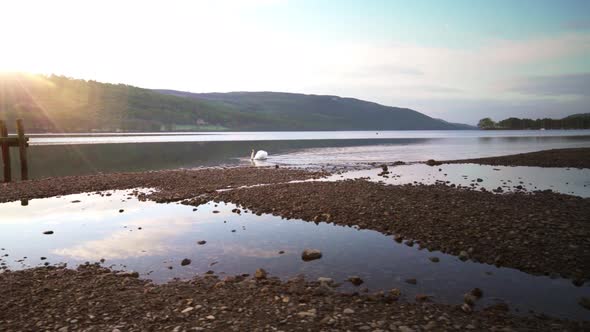 Sunrise Over a Lake Shoreline