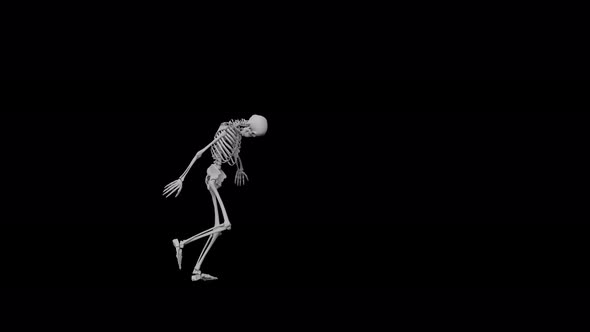 Skeleton Dance 08
