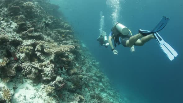Diving Along Coral Reef alt