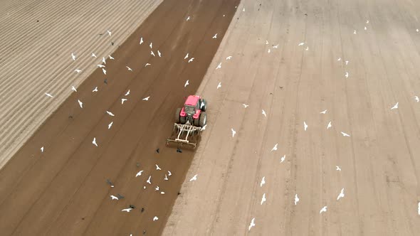 A Red Tractor with a Cultivator Loosens the Soil and Destroys Weeds, a Beautiful View From Above of alt