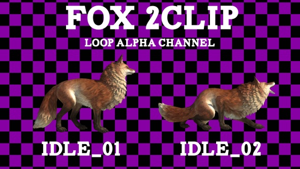 Fox Idle 2Clip Loop Alpha