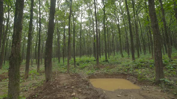 The Traditional Way Of Water Conservation In Uttarakhand India