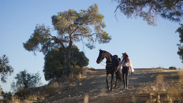 Confident Young Woman and Graceful Horse Walking Downhill in Slow Motion alt