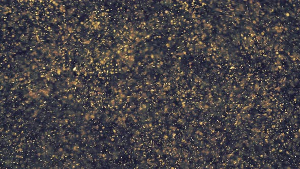 Abstract Golden Particles with Blurred Defocused Bokeh Moves Chaos, Snow Flakes alt
