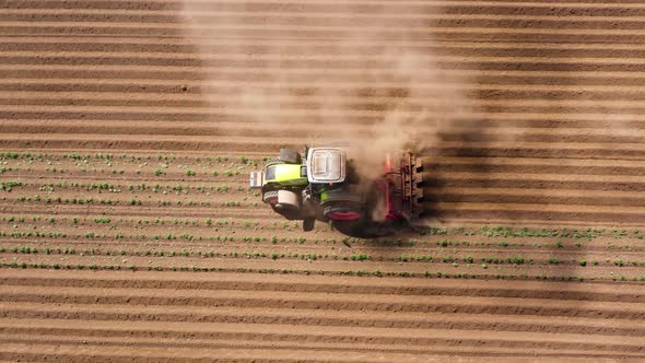 Agricultural Machinery in the Potato Field Cultivates the Land alt