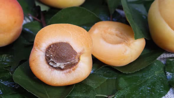 Group of Delicious Apricots Fruit with Green Leaf