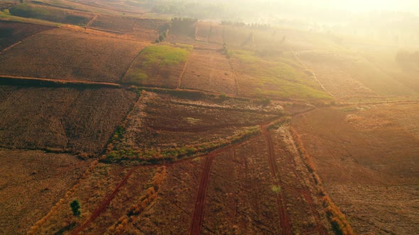 4K : Aerial view flight over the beautiful field in sunset. Countryside scenery. alt