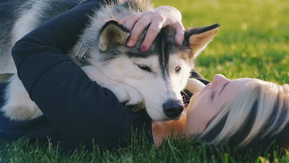 Beautiful Young Woman Playing with Funny Husky Dog Outdoors in Park alt