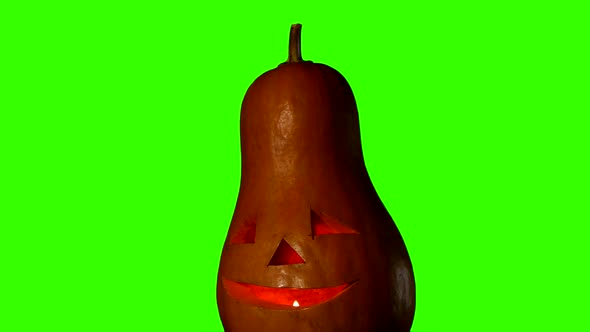 Helloween Pumpkin on Green Screen alt