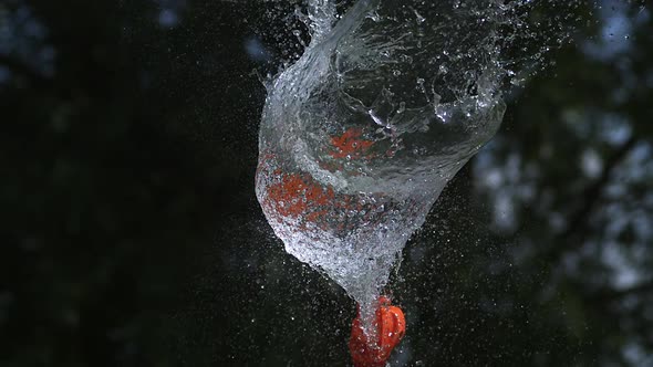 700001 Shot breaking water filled orange balloon, slow motion alt