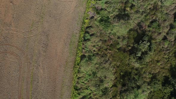Plowed farmland next to the Brazilian savannah where deforestation is destroying the rainforest - st alt