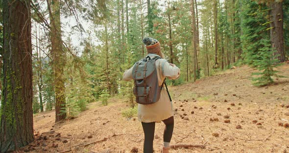Slow Motion: Young Woman Hiking in Green Forest in Sunny Autumn Day, Pine Woods alt