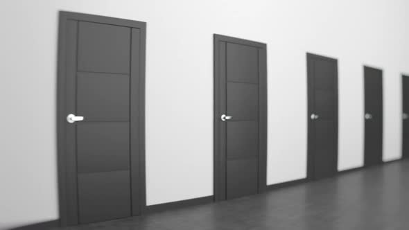 Infinite Line of Closed Black Doors