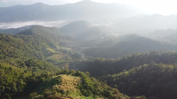 Aerial landscape  view of greenery rainforest and hills on foggy day by drone