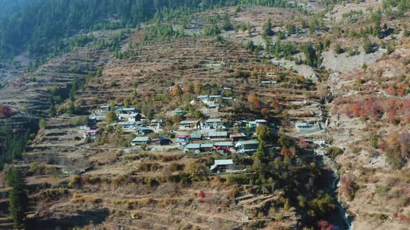 Hut row houses built on hills in the Himalayas mountain slopes surrounded by green pine forests.