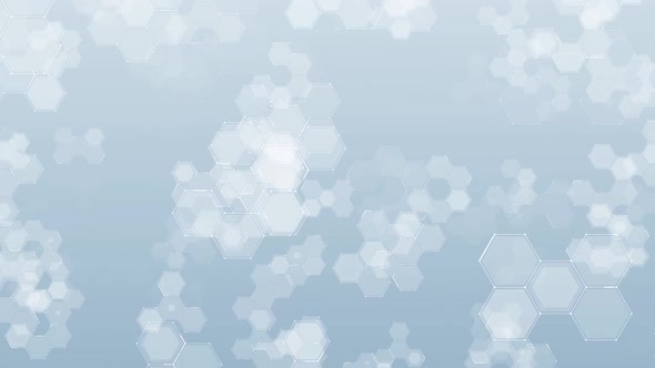 Honeycomb Digital alt