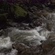 Water Flowing In Forest - VideoHive Item for Sale