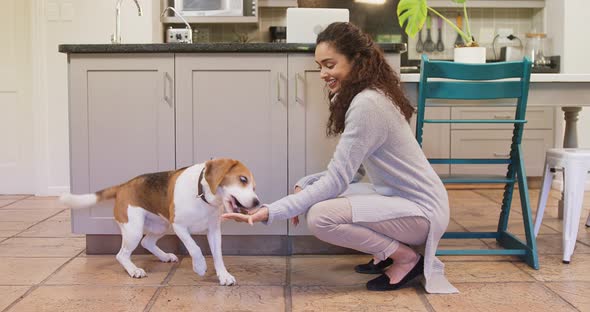 Happy woman feeding food to her dog while stroking 4K 4k alt