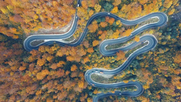 Aerial view of curving road through colorful autumn forest