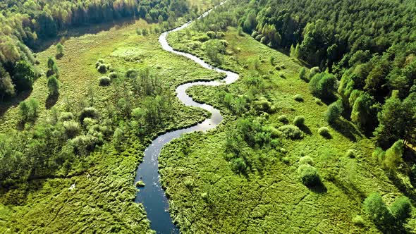 Curvy river and forest at sunset. Aerial view of wildlife.