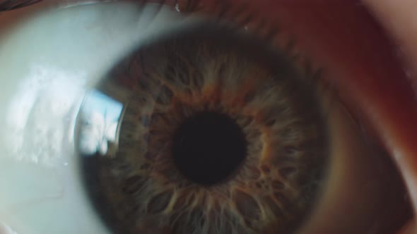 Perfect Brown Eye Macro in a Sterile Environment and Perfect Vision alt