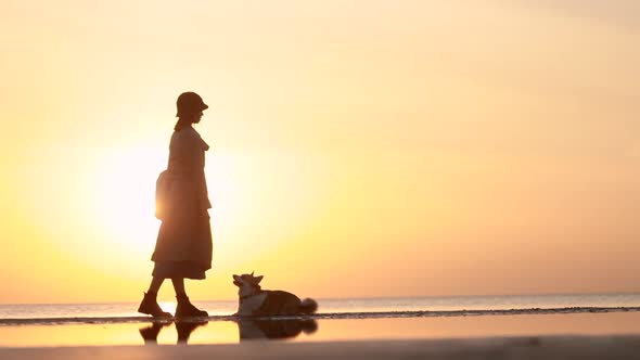Woman and Pet Having Fun on Beach During Evening Sunset and Enjoying Lifestyle Spbi alt