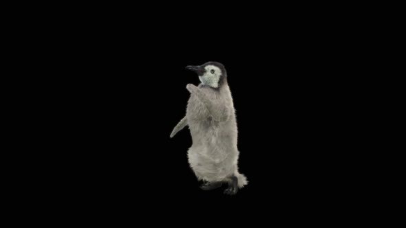 Penguin Dancing HD alt