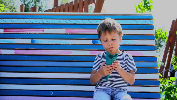 cute caucasian boy sitting on bench in park eating icecream