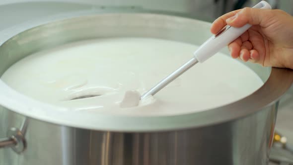 Cheese Production at Home alt