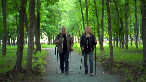 An Elderly Couple is Engaged in Nordic Walking in the Forest alt