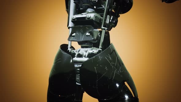 Cyborg Woman with Machine Part of Her Body alt