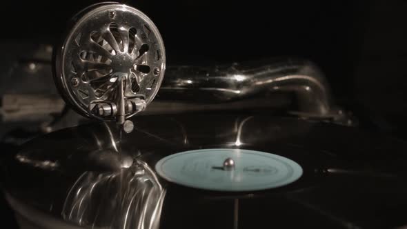 Gramophone. Vinyl Record. alt