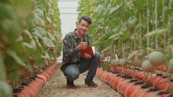 Smiling Asian Farmer Checking Melon And Thumb Up In Organic Farms With Book alt