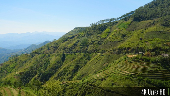 4K Terrace Rice Fields in Northern Vietnam alt