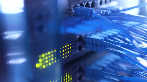 Closeup View of Modern Internet Network Switch with Plugged Ethernet Cables alt