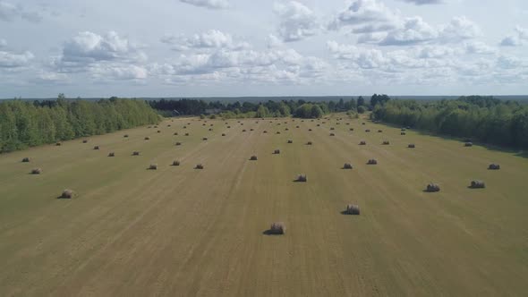 On a Bright Summer Day a Drone Flies Over a Meadow with Hay Baled