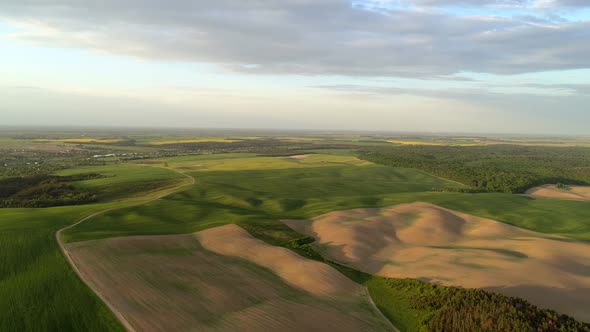 Air View on Colored Fields and Forests