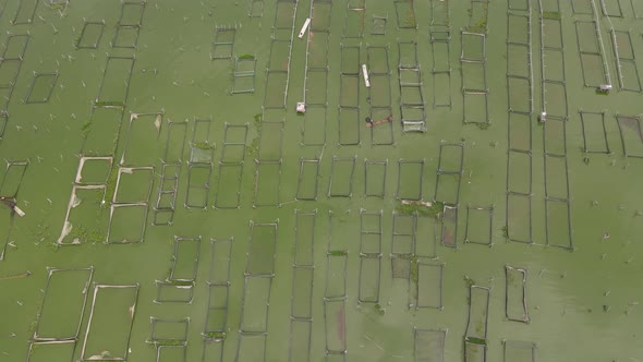 Wide aerial view of traditional floating fish pond on swamp in Indonesia alt