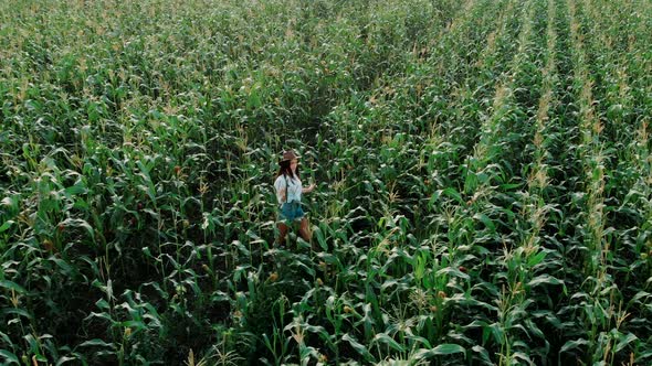 Young Farmer Girl in a Hat, on a Corn Field, Goes Through the Tall Corn Stalks in the Sun, Aerial alt