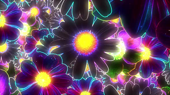 Neon Flower Background 4k