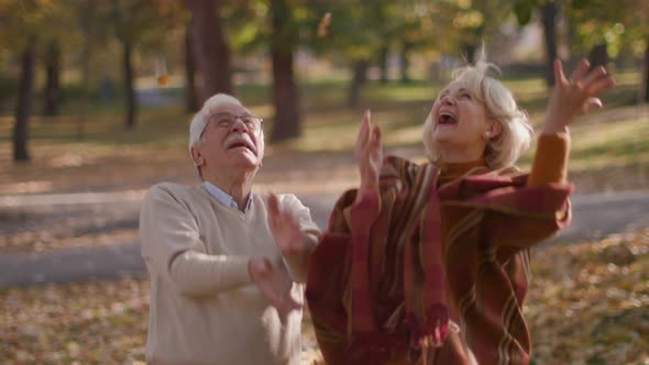 Handsome senior couple walking in autumn park