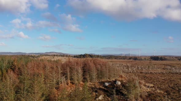 Aerial View of Forest in a Peatbog in County Donegal  Ireland alt
