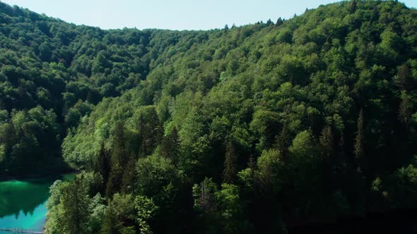 Verdant Forest At Plitvice Lakes National Park At Summer In Croatia. - aerial alt