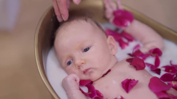 Top View Face of Thoughtful Infant Lying in White Milk Water with Red Rose Petals Looking Away alt