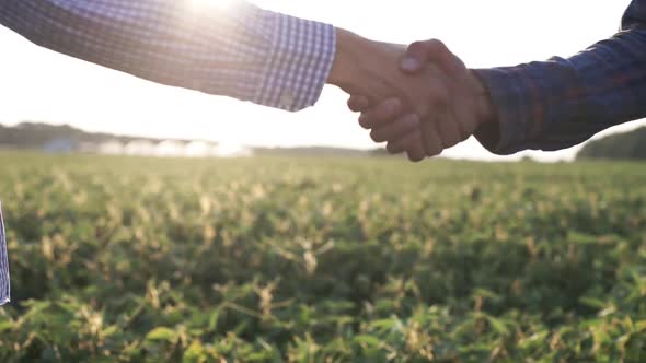 Handshake of Farmers in a Green Field