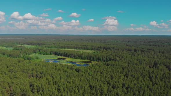 Aerial View of Forest Lake
